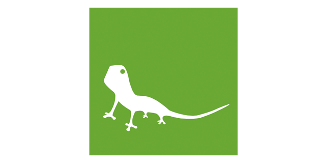logo - Visual Lizard Inc.